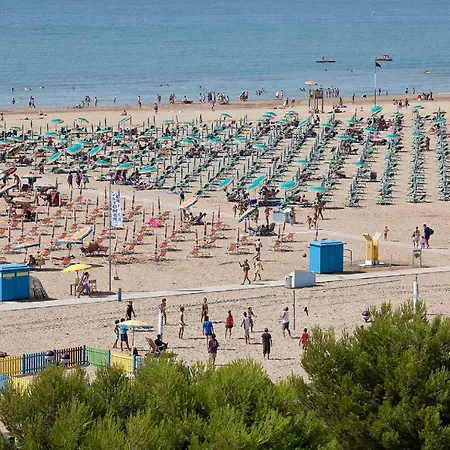 Storione -